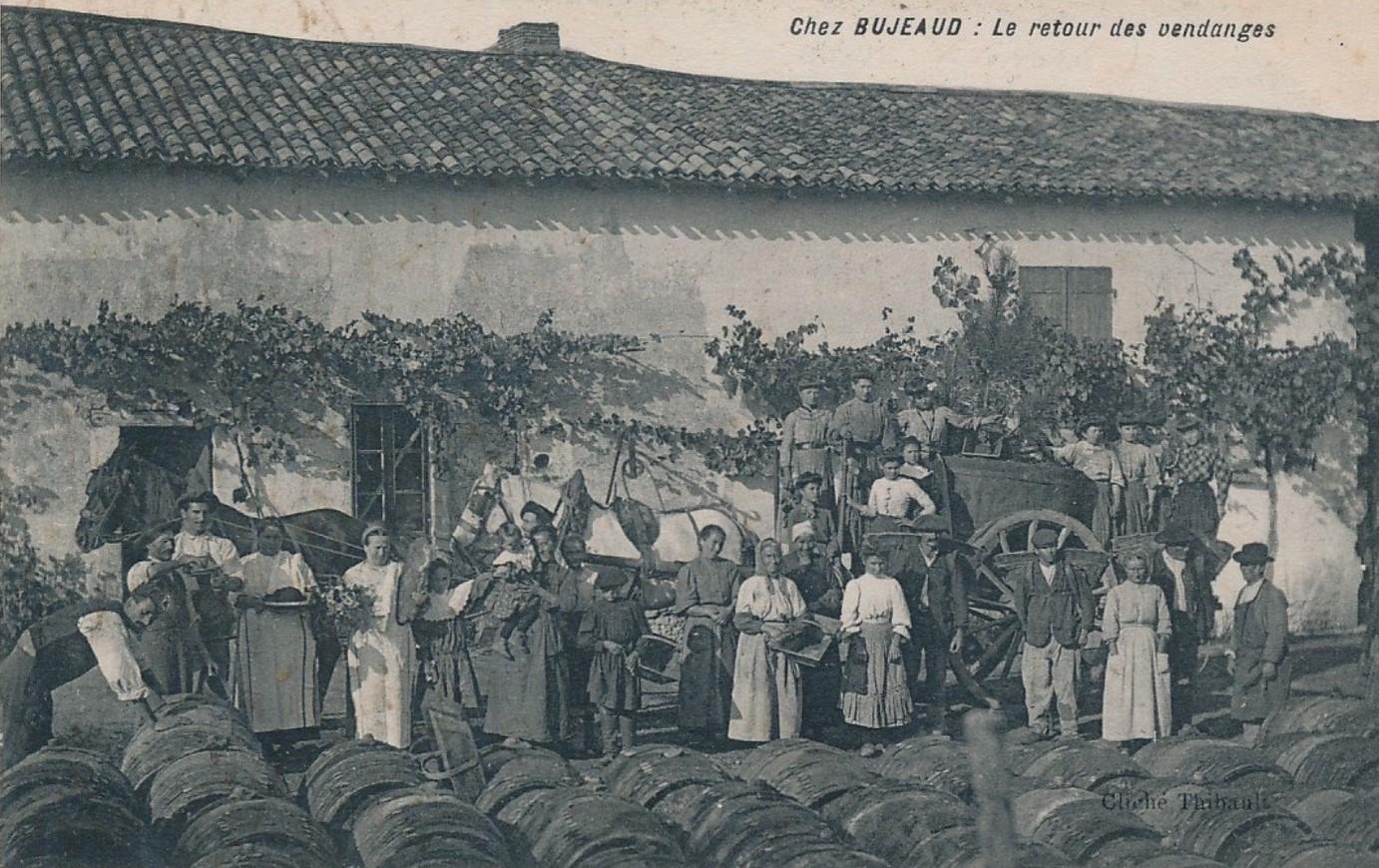 St Ciers   retrour de vendanges chez Bugeaud